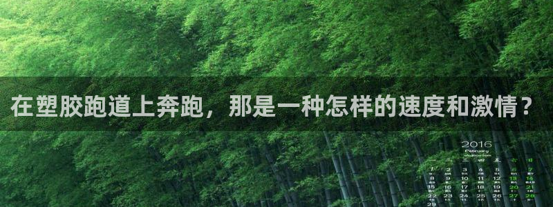 红足一1世66814：在塑胶跑道上奔跑，那是一种怎样的速度和激情？