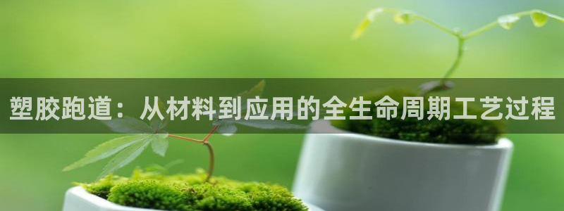 红世一足球比分：塑胶跑道：从材料到应用的全生命周期工艺过程