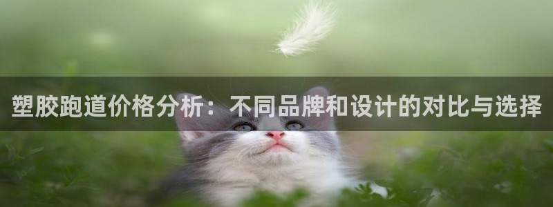 红足一1世皇冠:塑胶跑道价格分析:不同品牌和设计的对比与选择