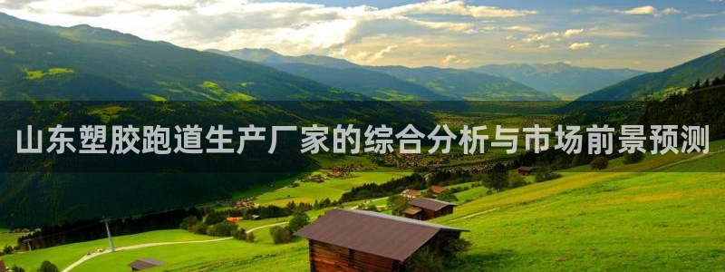 333814红·足一世比分：山东塑胶跑道生产厂家的综合分析与市场前景预测