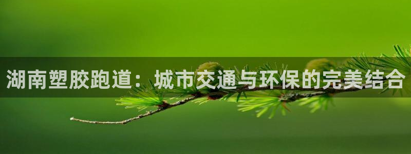 红足1一世:湖南塑胶跑道:城市交通与环保的完美结合