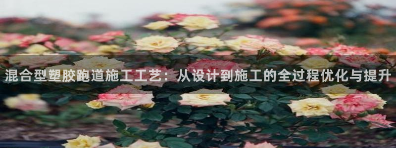 红足1一世足球手机：混合型塑胶跑道施工工艺：从设计到施工的全过程优化与提升