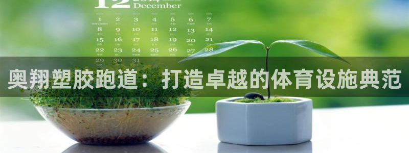 红足一一世：奥翔塑胶跑道：打造卓越的体育设施典范