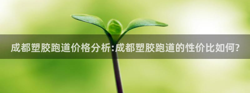666814红·足一世比分：成都塑胶跑道价格分析:成都塑胶跑道的性价比如何?