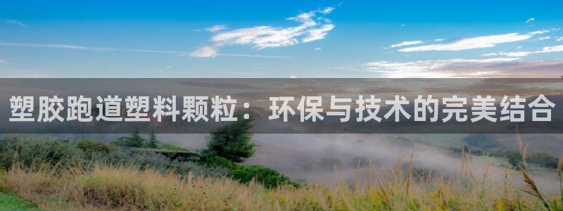 红足一1世皇冠地址：塑胶跑道塑料颗粒：环保与技术的完美结合