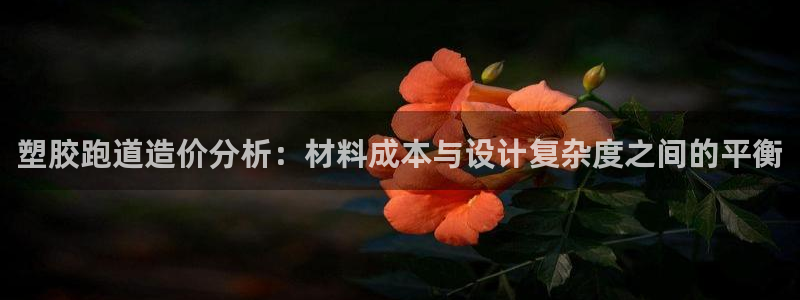 红足一1世官网：塑胶跑道造价分析：材料成本与设计复杂度之间的平衡