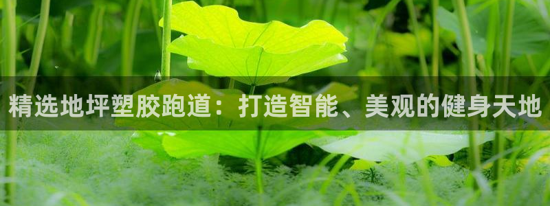 红足一1世手机版赛果：精选地坪塑胶跑道：打造智能、美观的健身天地