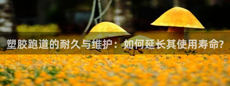 333814红·足一世比分：塑胶跑道的耐久与维护：如何延长其使用寿命?