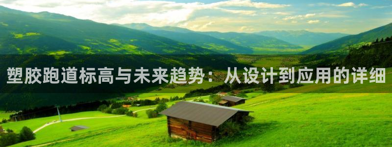 红足1世足球网址大全:塑胶跑道标高与未来趋势:从设计到应用的详细