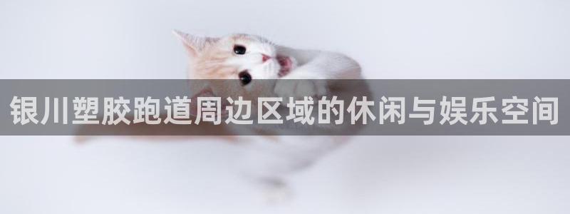 红足1一世足球手机:银川塑胶跑道周边区域的休闲与娱乐空间