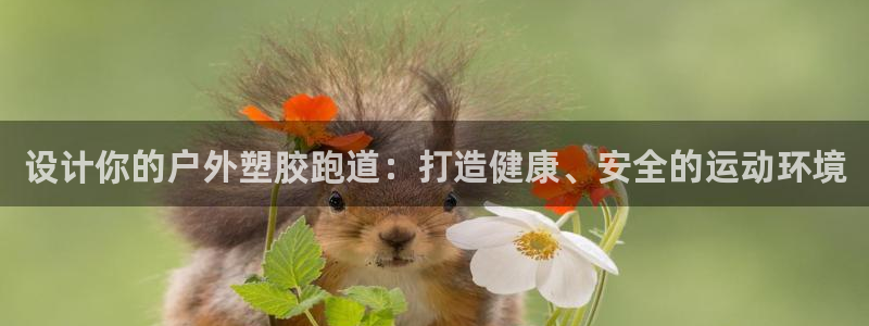 红世一足球比分:设计你的户外塑胶跑道:打造健康、安全的运动环境