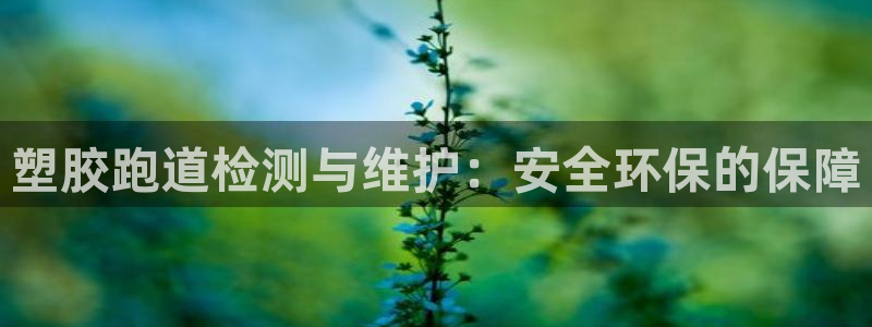红足1一世:塑胶跑道检测与维护:安全环保的保障