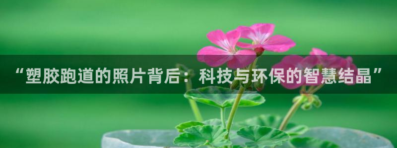 红足一1世66814新宝:“塑胶跑道的照片背后:科技与环保的智慧结晶”