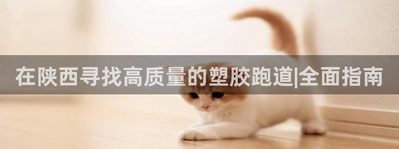 红足一1世比分网:在陕西寻找高质量的塑胶跑道|全面指南