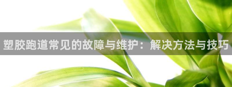 红足一1世:塑胶跑道常见的故障与维护:解决方法与技巧