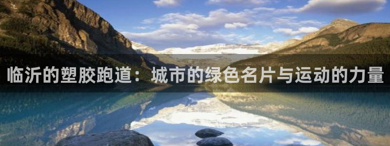 红足一1世:临沂的塑胶跑道:城市的绿色名片与运动的力量