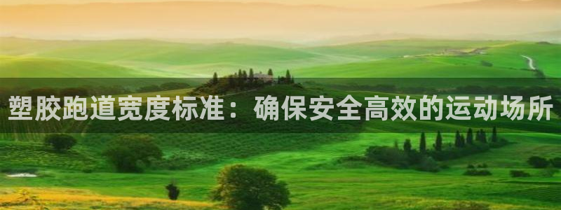 红足1世手机版下载:塑胶跑道宽度标准:确保安全高效的运动场所