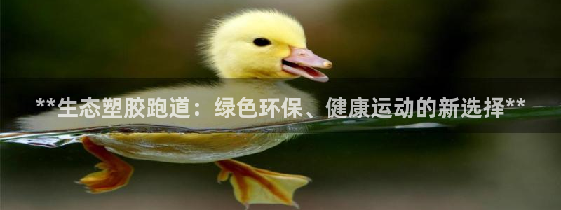 红足1一世 2站:**生态塑胶跑道:绿色环保、健康运动的新选择**