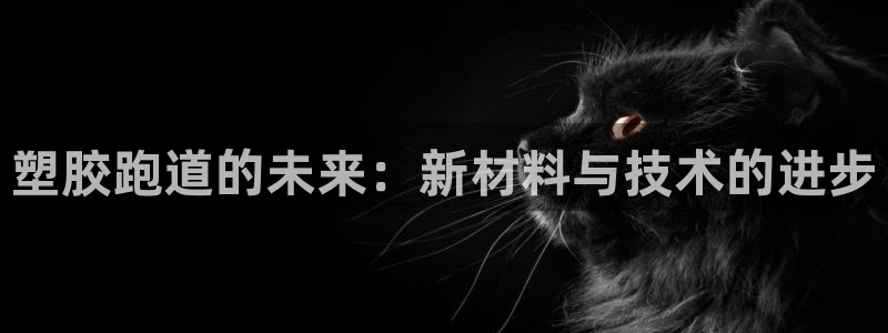 红足1一世红:塑胶跑道的未来:新材料与技术的进步