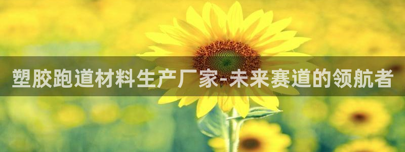 777814红·足一世比分篮球:塑胶跑道材料生产厂家-未来赛道的领航者