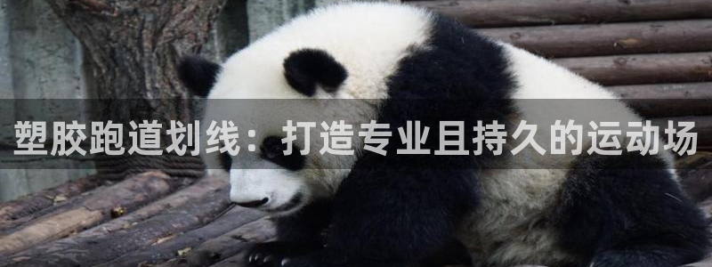 百度红足一1是什么样子的:塑胶跑道划线:打造专业且持久的运动场
