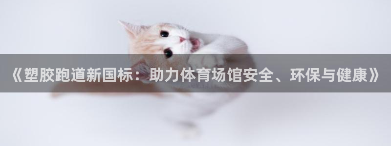 66814红足一66814世:《塑胶跑道新国标:助力体育场馆安全、环保与健康》
