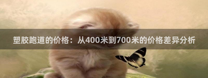 红足1世手机下载:塑胶跑道的价格:从400米到700米的价格差异分析