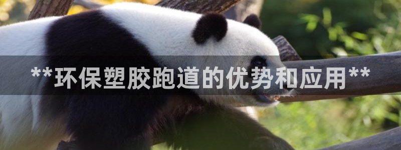 红足一1世666814足球:**环保塑胶跑道的优势和应用**