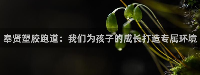 红足一生世:奉贤塑胶跑道:我们为孩子的成长打造专属环境