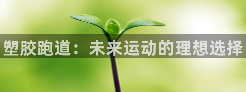 红足一1世比分：塑胶跑道：未来运动的理想选择