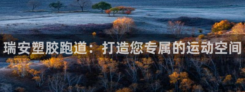 红足一球：瑞安塑胶跑道：打造您专属的运动空间