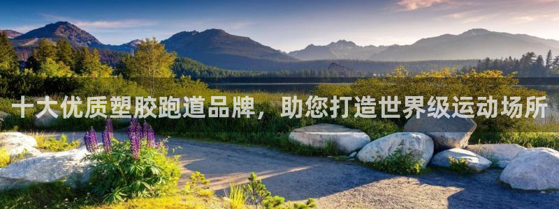 红足一1世手机版新皇冠:十大优质塑胶跑道品牌,助您打造世界级运动场所