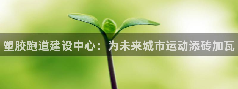 百度红足一1是什么样子的：塑胶跑道建设中心：为未来城市运动添砖加瓦