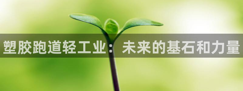 红足1一世开奖版：塑胶跑道轻工业：未来的基石和力量