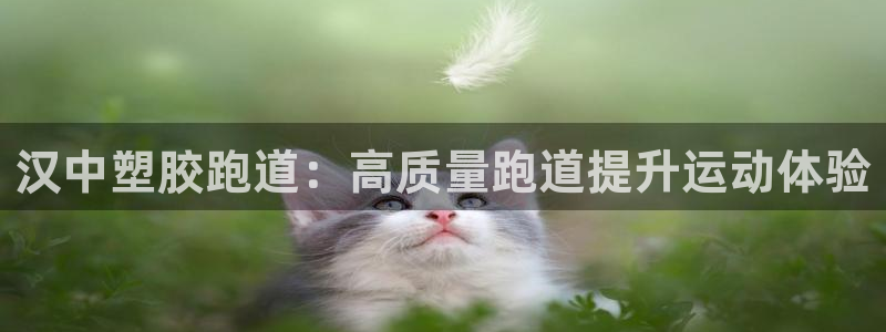 红足1一世开奖版：汉中塑胶跑道：高质量跑道提升运动体验