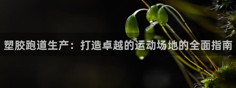 红足1世足球：塑胶跑道生产：打造卓越的运动场地的全面指南