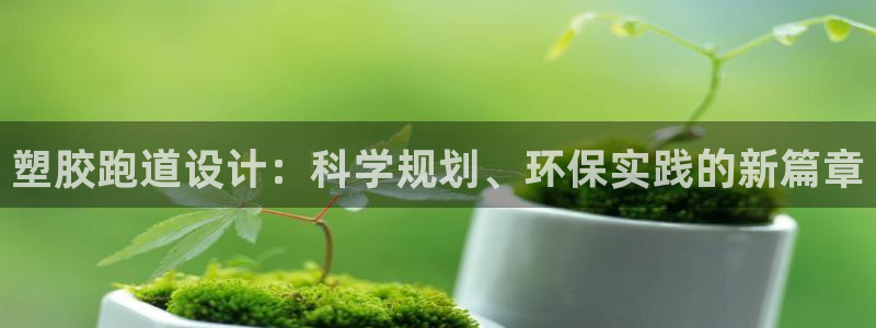 红足一1世66814新宝：塑胶跑道设计：科学规划、环保实践的新篇章
