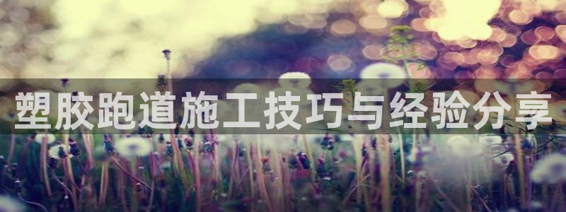 百度红足一1世：塑胶跑道施工技巧与经验分享