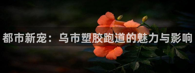 红足足球网：都市新宠：乌市塑胶跑道的魅力与影响