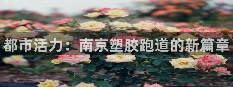 红足一1世开奖记录：都市活力：南京塑胶跑道的新篇章