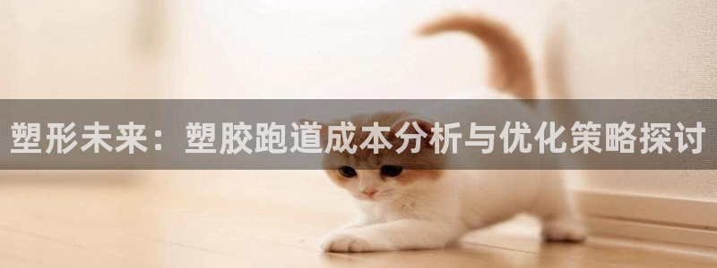 红足1一世红：塑形未来：塑胶跑道成本分析与优化策略探讨