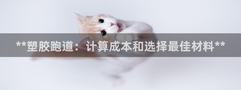 66814红足:**塑胶跑道:计算成本和选择最佳材料**