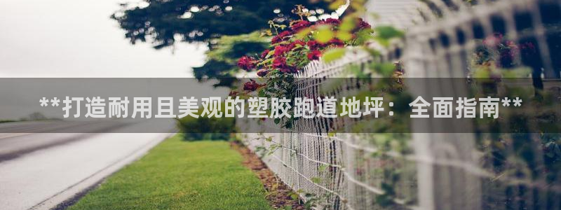 百度红足一1是为什么：**打造耐用且美观的塑胶跑道地坪：全面指南**