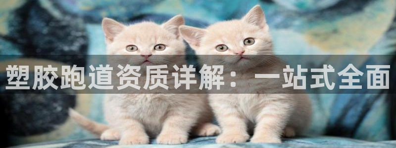 红足足球网:塑胶跑道资质详解:一站式全面