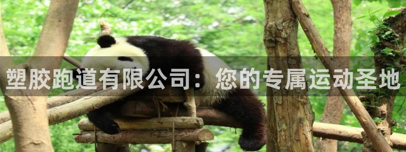 红足一1世手机版新皇冠:塑胶跑道有限公司:您的专属运动圣地