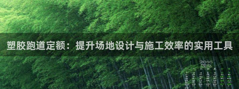 红足一1世比分网：塑胶跑道定额：提升场地设计与施工效率的实用工具