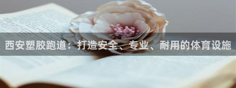 66814红足：西安塑胶跑道：打造安全、专业、耐用的体育设施