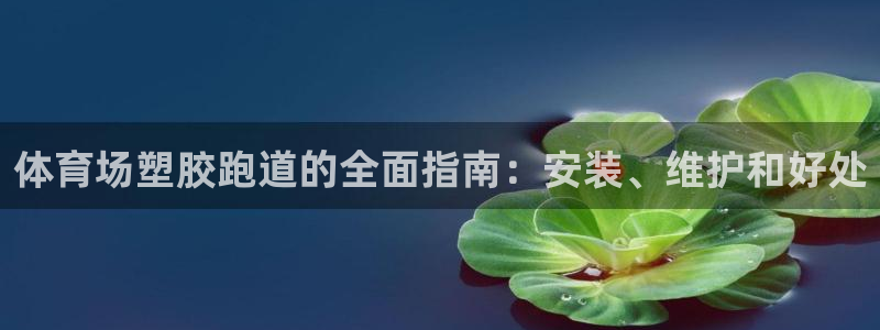 红足i世足球手机网:体育场塑胶跑道的全面指南:安装、维护和好处