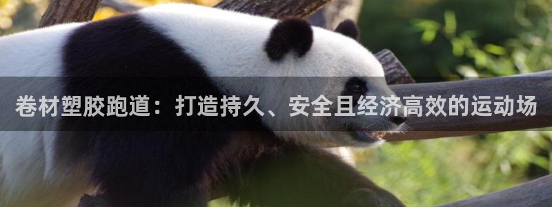 333814红·足一世比分：卷材塑胶跑道：打造持久、安全且经济高效的运动场