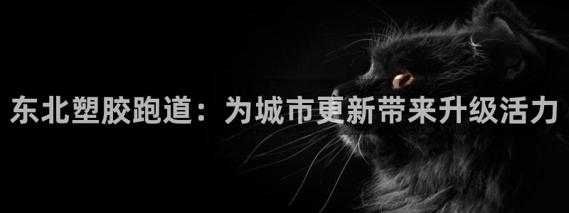 红足一比分网:东北塑胶跑道:为城市更新带来升级活力
